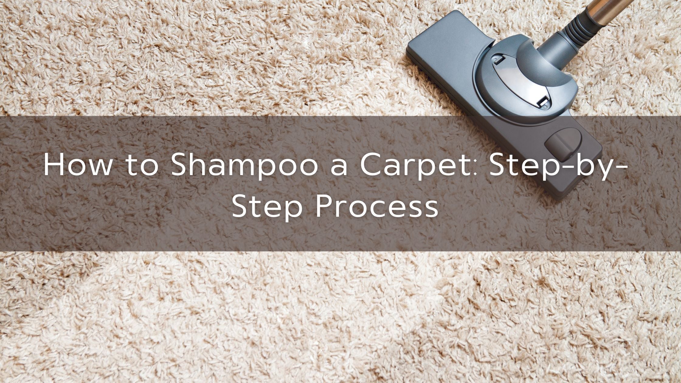 How to Shampoo a Carpet StepbyStep Process Restoration Oak Blog
