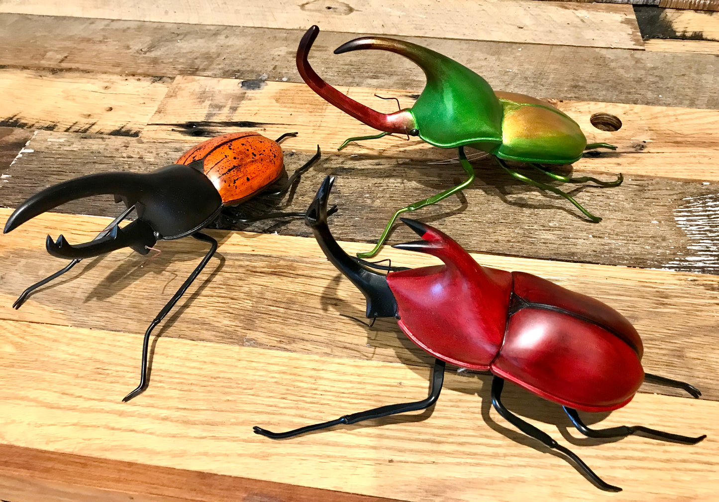 Beetle Art - Restoration Oak