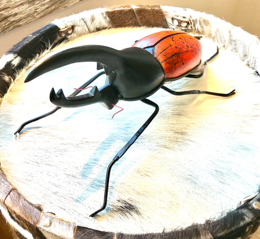 Beetle Art - Restoration Oak