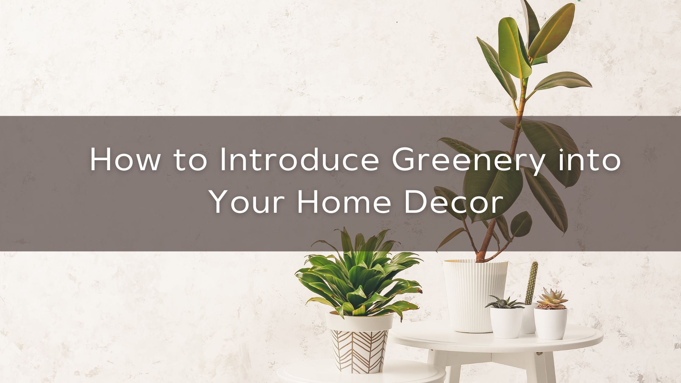 How to Introduce Greenery into Your Home Decor | Restoration Oak