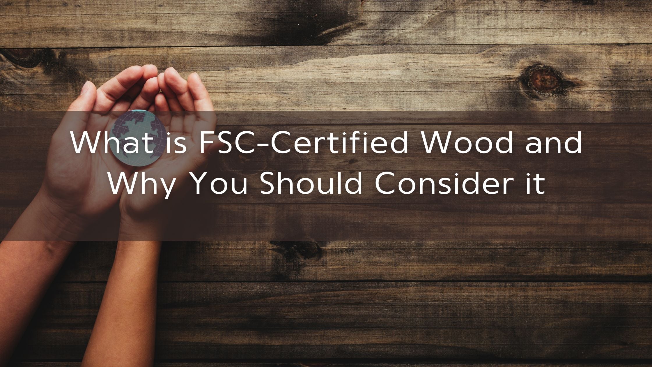 What is FSCCertified Wood and Why You Should Consider it Blog