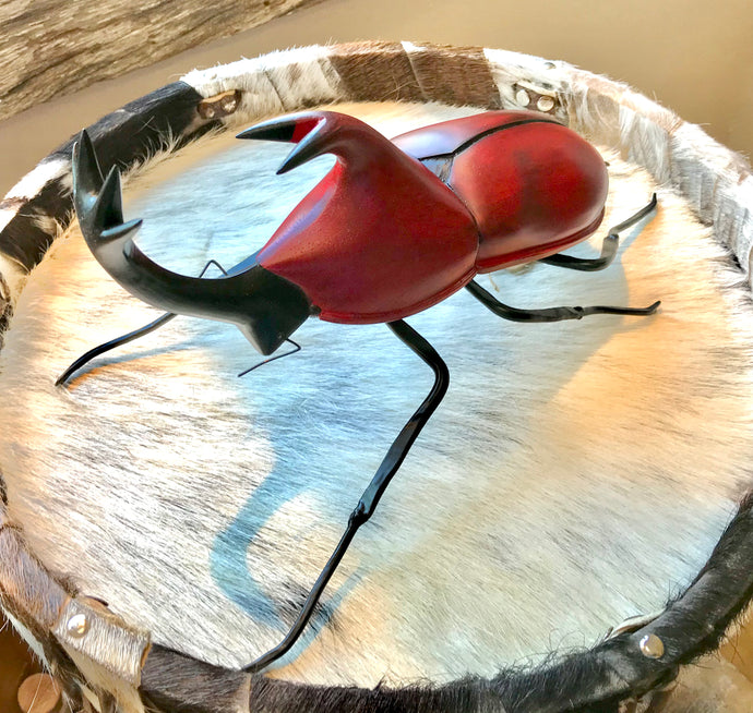 Beetle Art - Restoration Oak